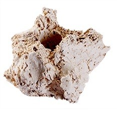 Arka ablegersteine natur - arka,
