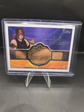 Wwe kane commemorative - wwe,