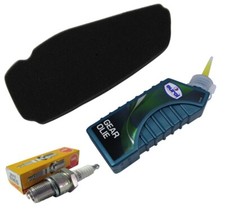 Inspektion Set ( Luftfilter +