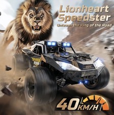 Beast-Mode RC Car 1:14, 40