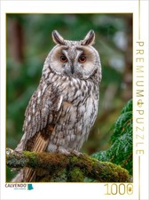 CALVENDO Puzzle Waldohreule im