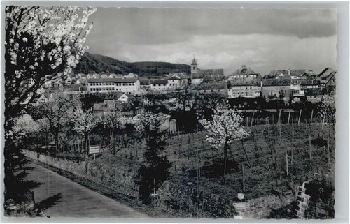 Gimmeldingen neustadt - gimmeldingen,