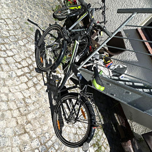Pegasus trekkingrad - pegasus,