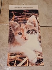 Kalender: Katzen- Kalender / 1983 / Selten, Rar!!!