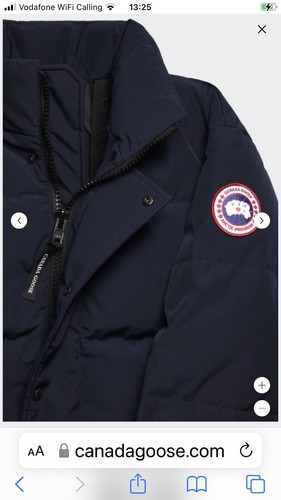 Canada goose - canada,