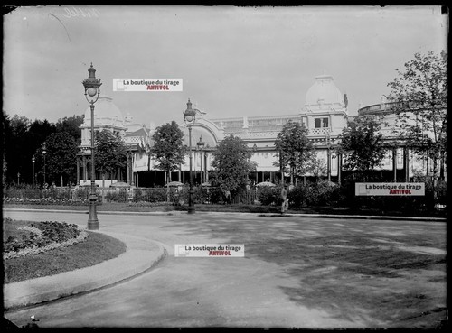 Glasplatte altes foto negativ - altes,