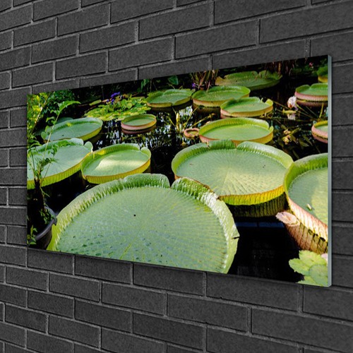 Acrylglasbilder 100x50