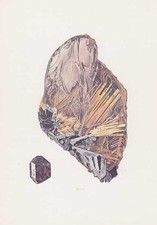 Rutil Rutilnadeln Venushaar Farbdruck von 1969 Mineralien Gesteine