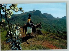 40155473 - Tejeda Typische Einzelheit Roque Nublo und Bentaiga im Hintergrund