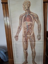 4 Verschiedene Schulwandkarten