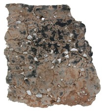 Neolithikum  Pfahlbauten