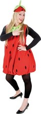 Erdbeer Kostüm Früchte Obst