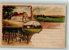 13719232 ratibor lucasine - 13719232,