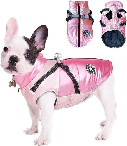 Hundemantel regendicht - hundemantel,
