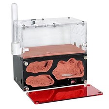 Acryl ameisenfarm - acryl,