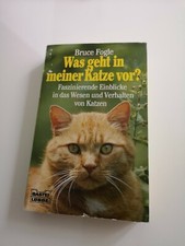 Was Geht In Meiner Katze Vor