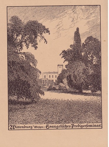 Wittenburg dębowa łąka - dębowa, Łąka-