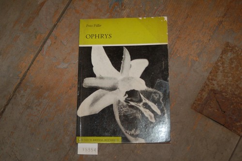 Ophrys