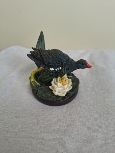 Eaglemoss vogelwelt das - vogelwelt,