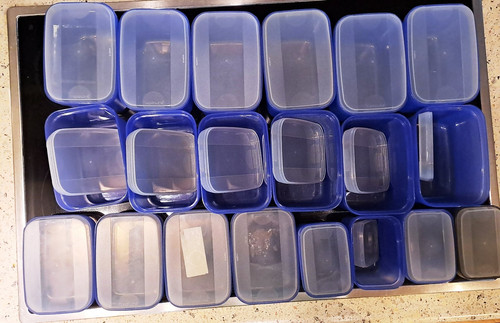 Tupperware swing box blau - tupperware®,