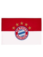 Flagge Fahne FC Bayern