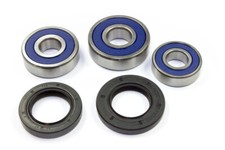 Radlager Satz 25-1603 hinten