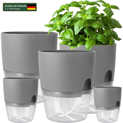 Blumentopf mit - blumentopf,