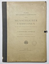 Medizin Anatomie Embryo /