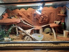 Terrarium 120x60x60  Glas