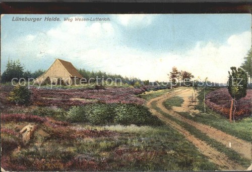 Lutterloh weg wesen - lutterloh,