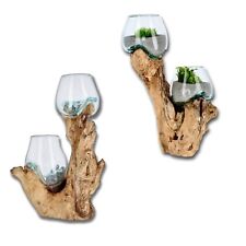 Unikat Glas auf Wurzelholz – Handgefertigte Deko-Vase, Terrarium, Windlicht