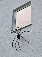 Schwarze Riesenspinne 150cm mit LED Augen