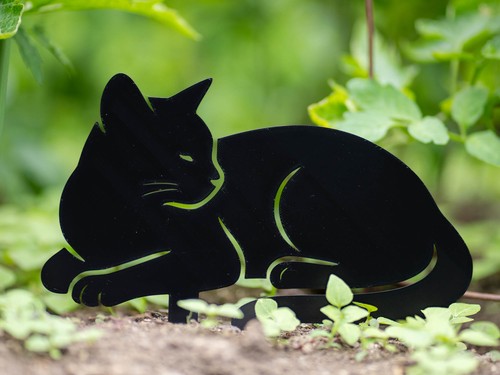 Schwarze katze silhoütte - katze,
