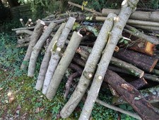 brennholz kaminholz stammholz