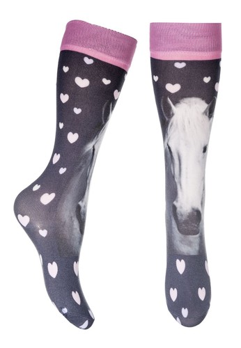 Reitsocken horse photo - -horse, photo-