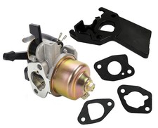 Vergaser für Einhell BG-PM 46