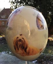 Straußenei Straussenei Hunde