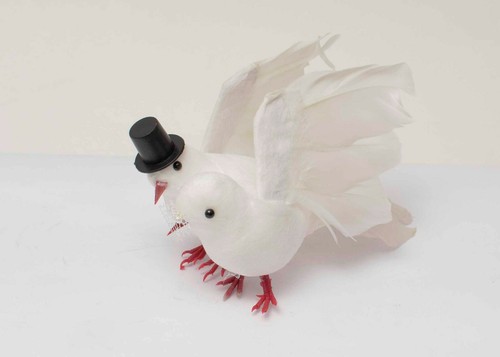 Hochzeitstauben paar sehr - x, hochzeitstauben-paar
