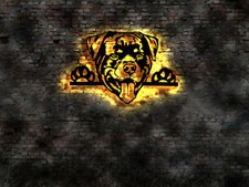 Rottweiler  Welpen Welpe no