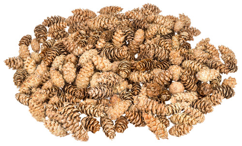 Nadeco douglasien zapfen - nadeco, 1kg