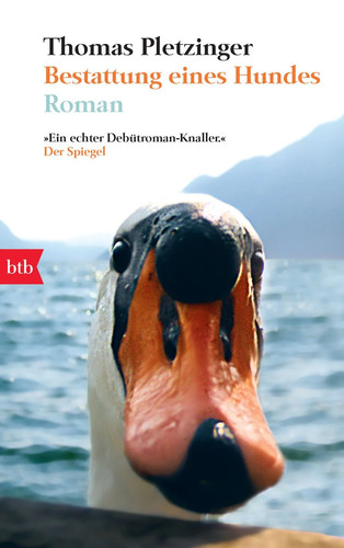 Bestattung eines hundes - bestattung,
