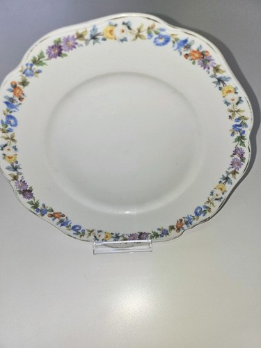 Vintage winterling - vintage,