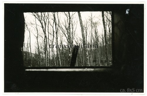 Orig foto blick - foto, aus