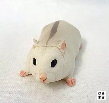 Choco egg pet djungarian - choco,