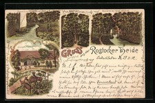 Lithographie Rostock, Gasthof Forsthaus Markgrafenheide, Borwins Eiche, Rehwild 