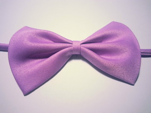 Fliege bow tie - tie, cravattino