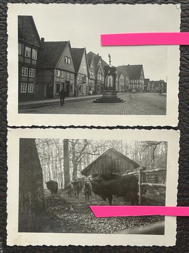 Drutsche foto 1939 - 2, springe