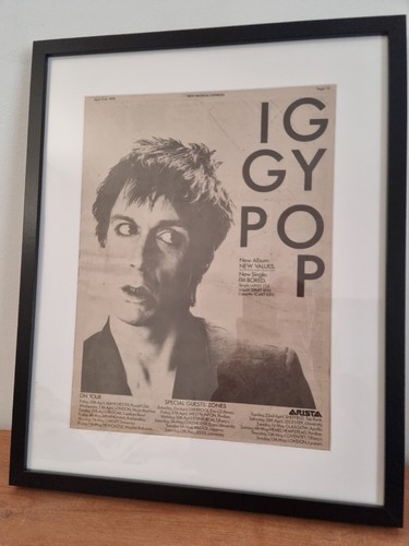 Iggy pop original - iggy, framed