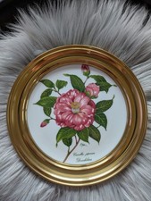 Seltmann Weiden Bavaria Wandteller-Sammlerteller Nr. 1 -Camellia Japonica