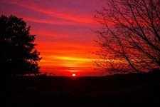 Digital Image Picture Photo